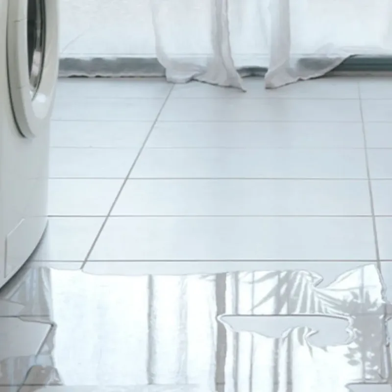 Appliance Leak Cleanup in West Frankfort, IL