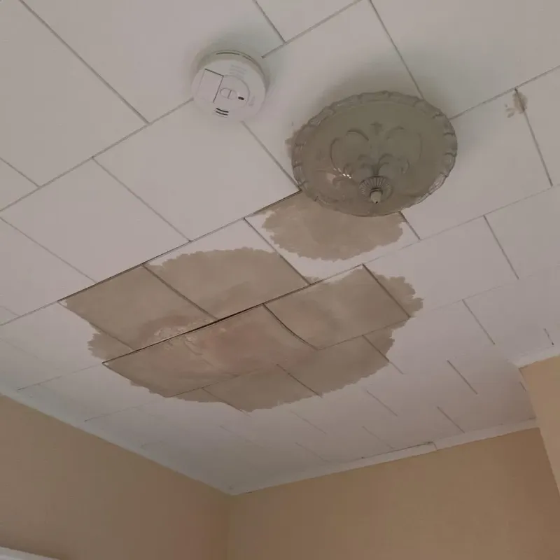 Ceiling Water Damage Repair in West Frankfort, IL