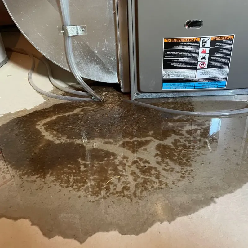 Pipe Burst and Leak Restoration in West Frankfort, IL