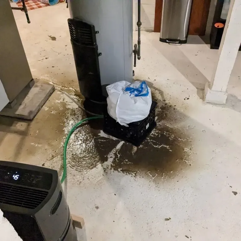 Sewage Backup Cleanup Service in West Frankfort, IL
